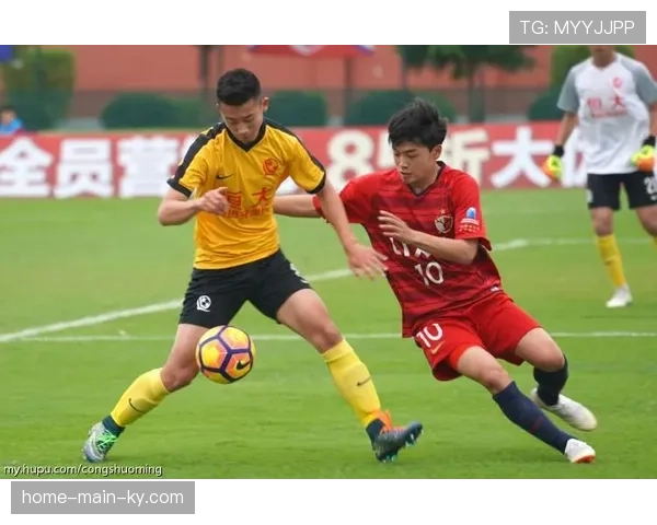 广东队体系革命从球星驱动转向体系构建 建立覆盖全省青训网络